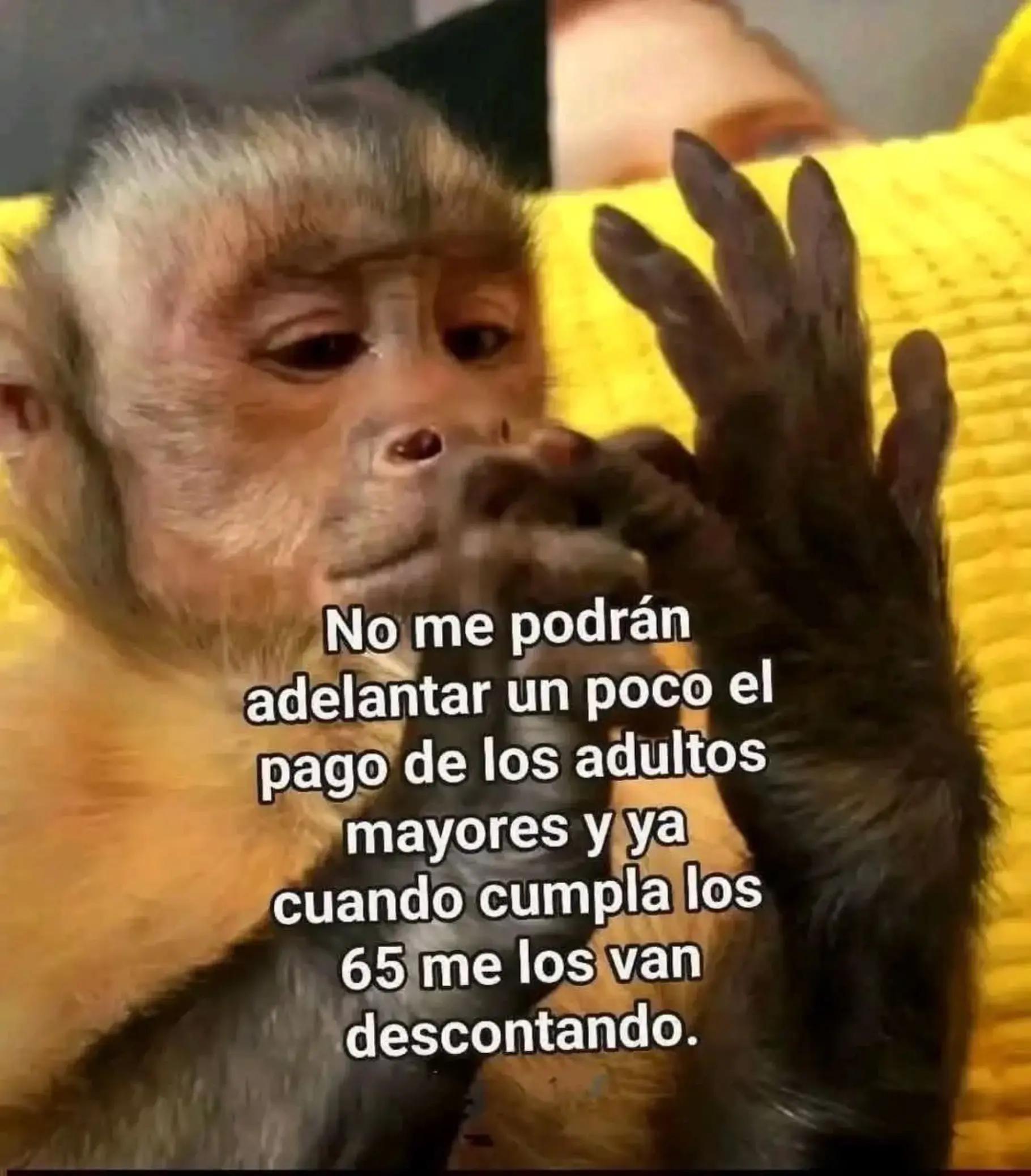 @gigi40