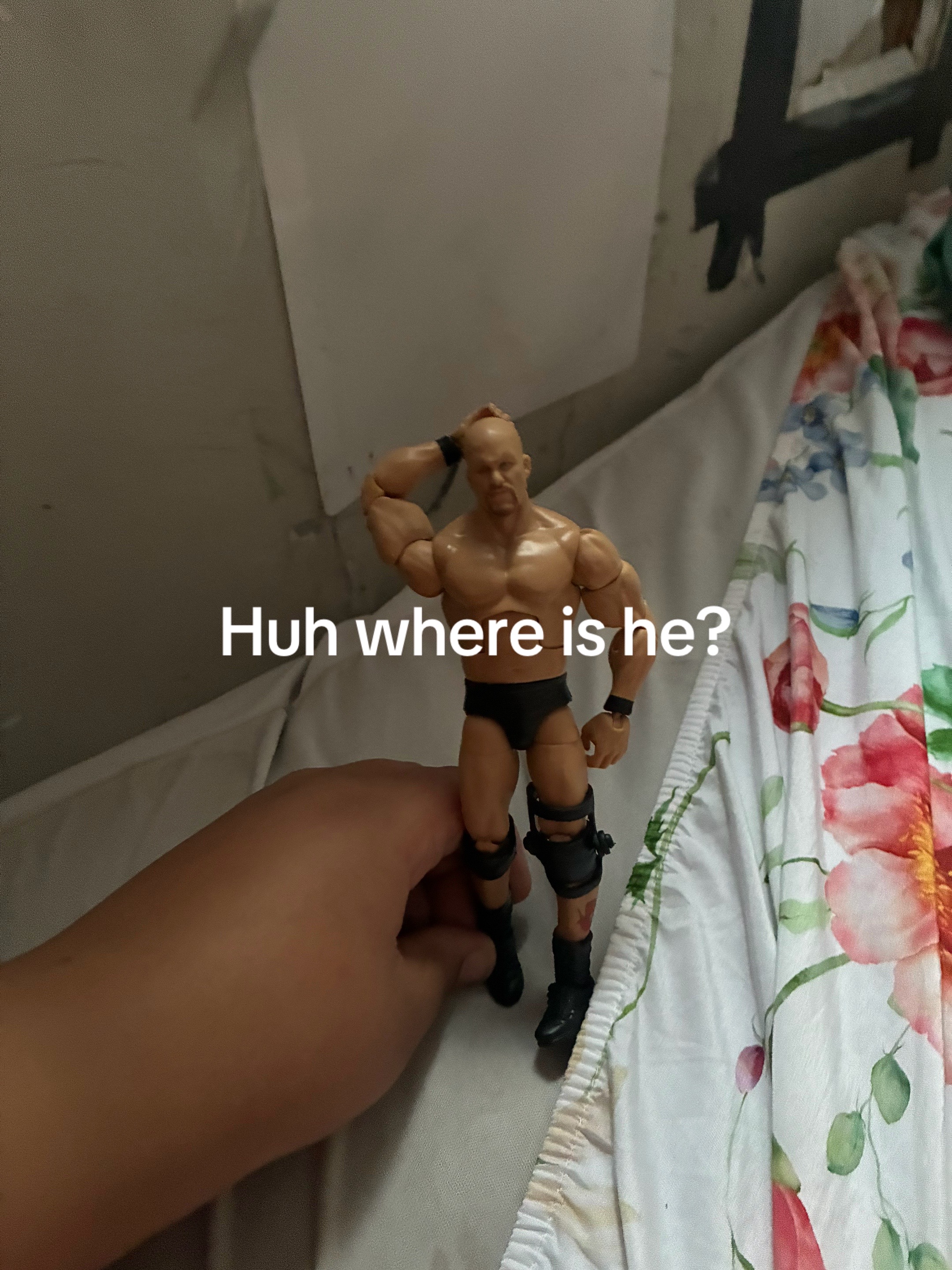@La Dookie edits