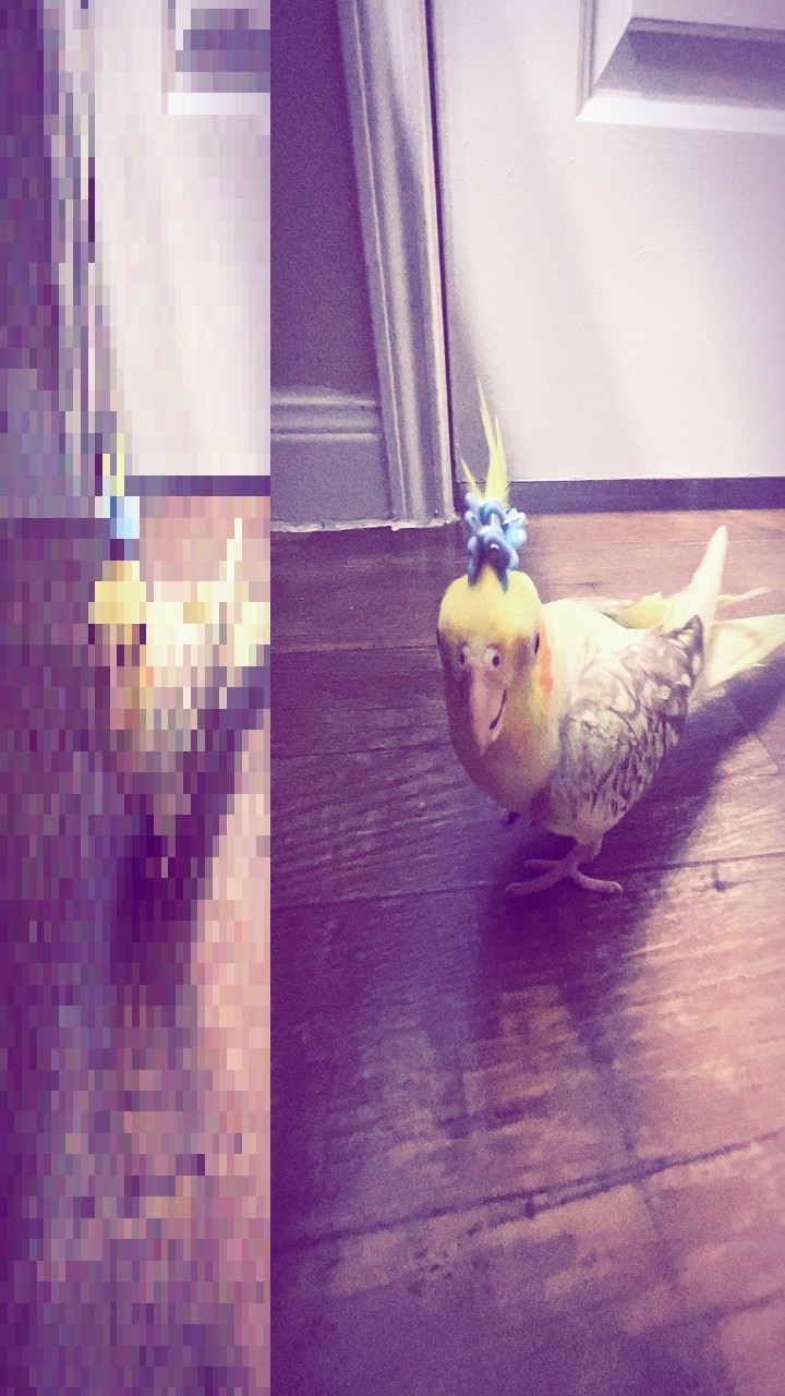 @โ. ๐หเฟ ๐ค๐ผ๐ถ๐ง๐๐หโ