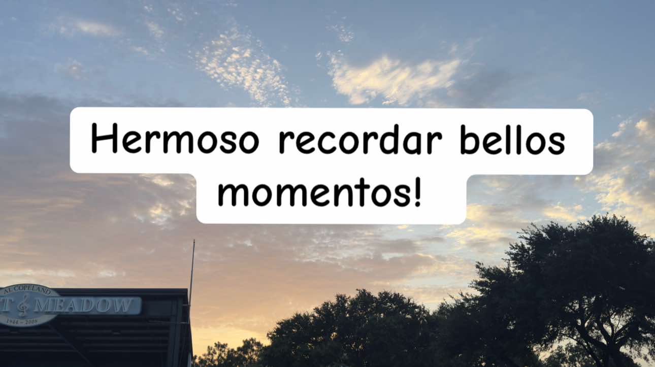 @Mabel Argueta🌻🌙🌞🦉