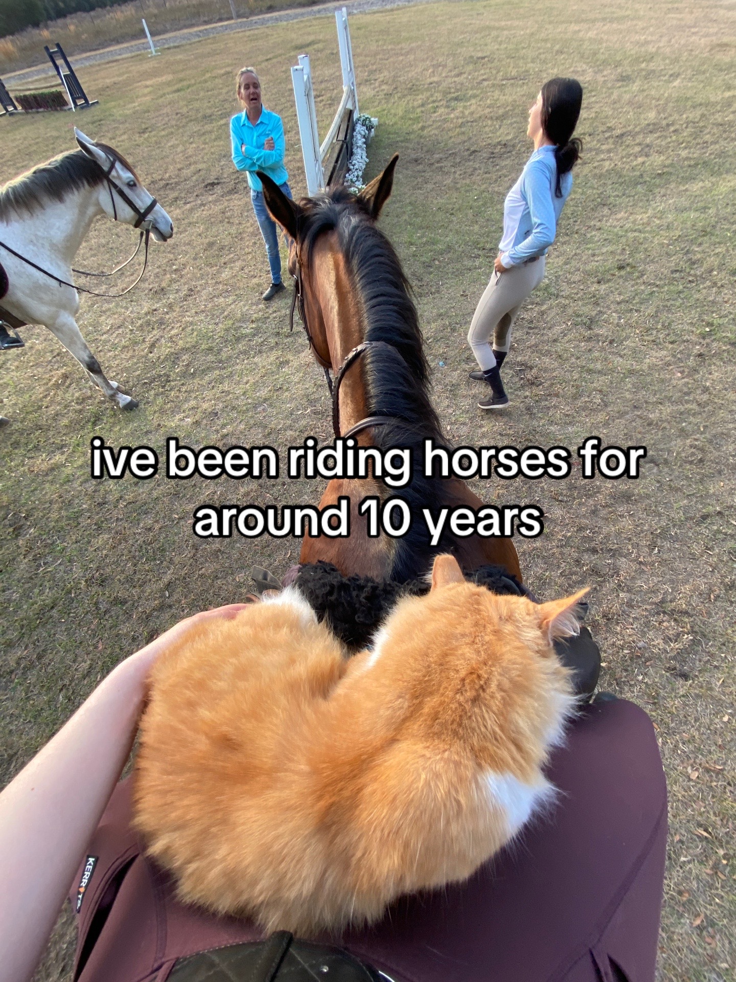 @.ktm.equestrian