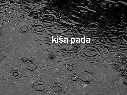 @Dačapro11