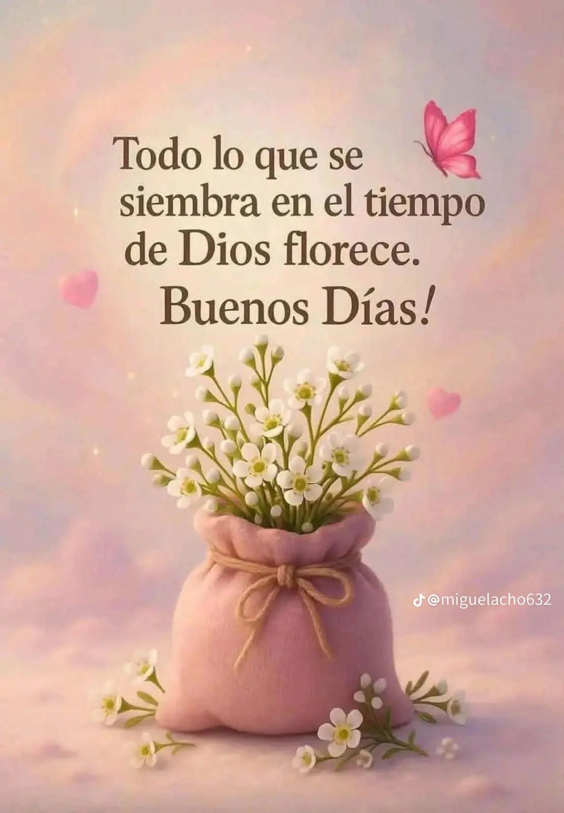 @🎀G☕🩺GALYG☕🎀