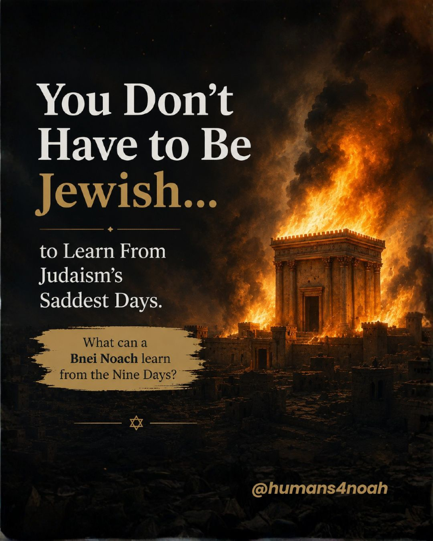 @Humans 4 Noah