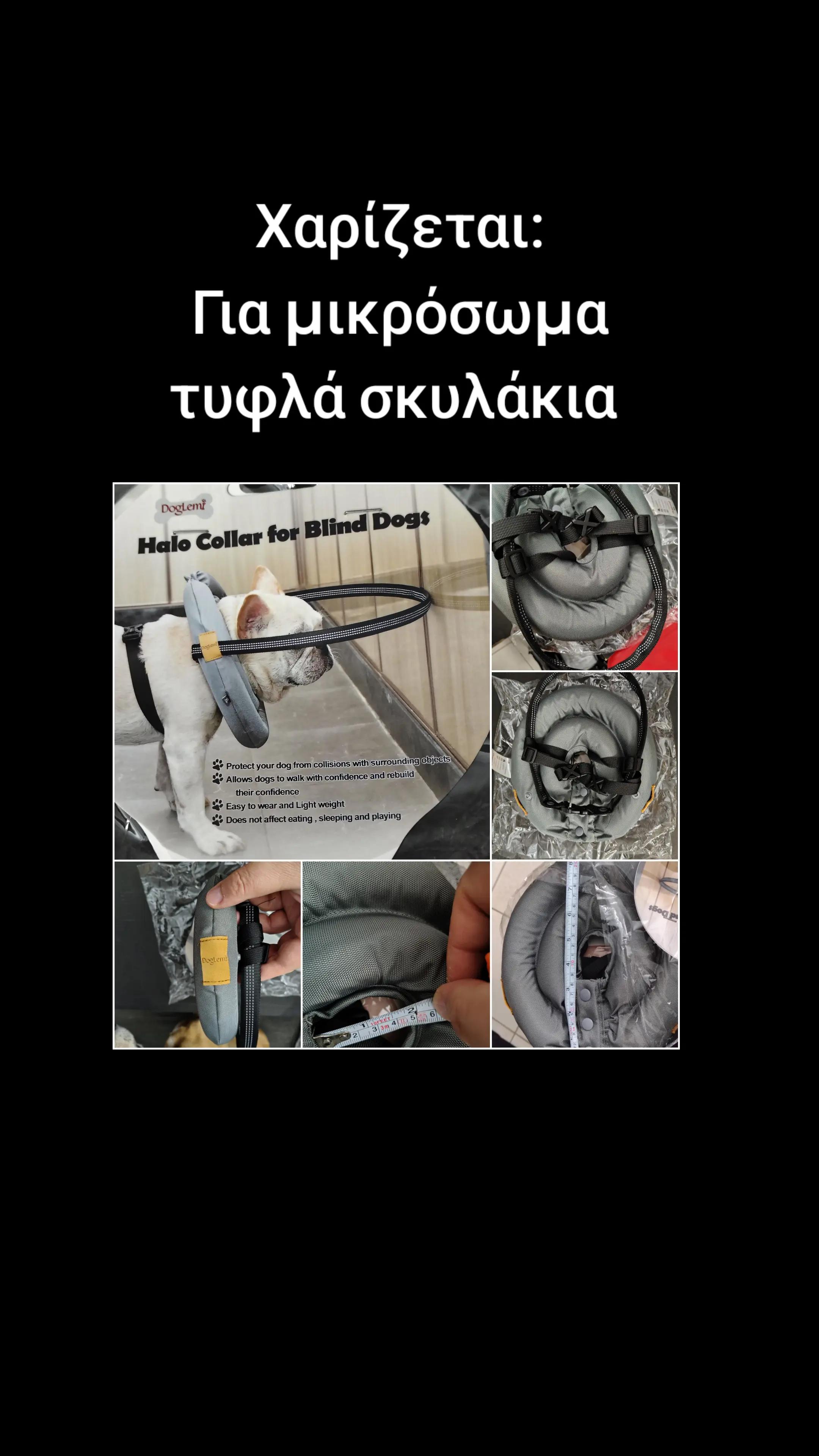 @dogtrainingbymelina
