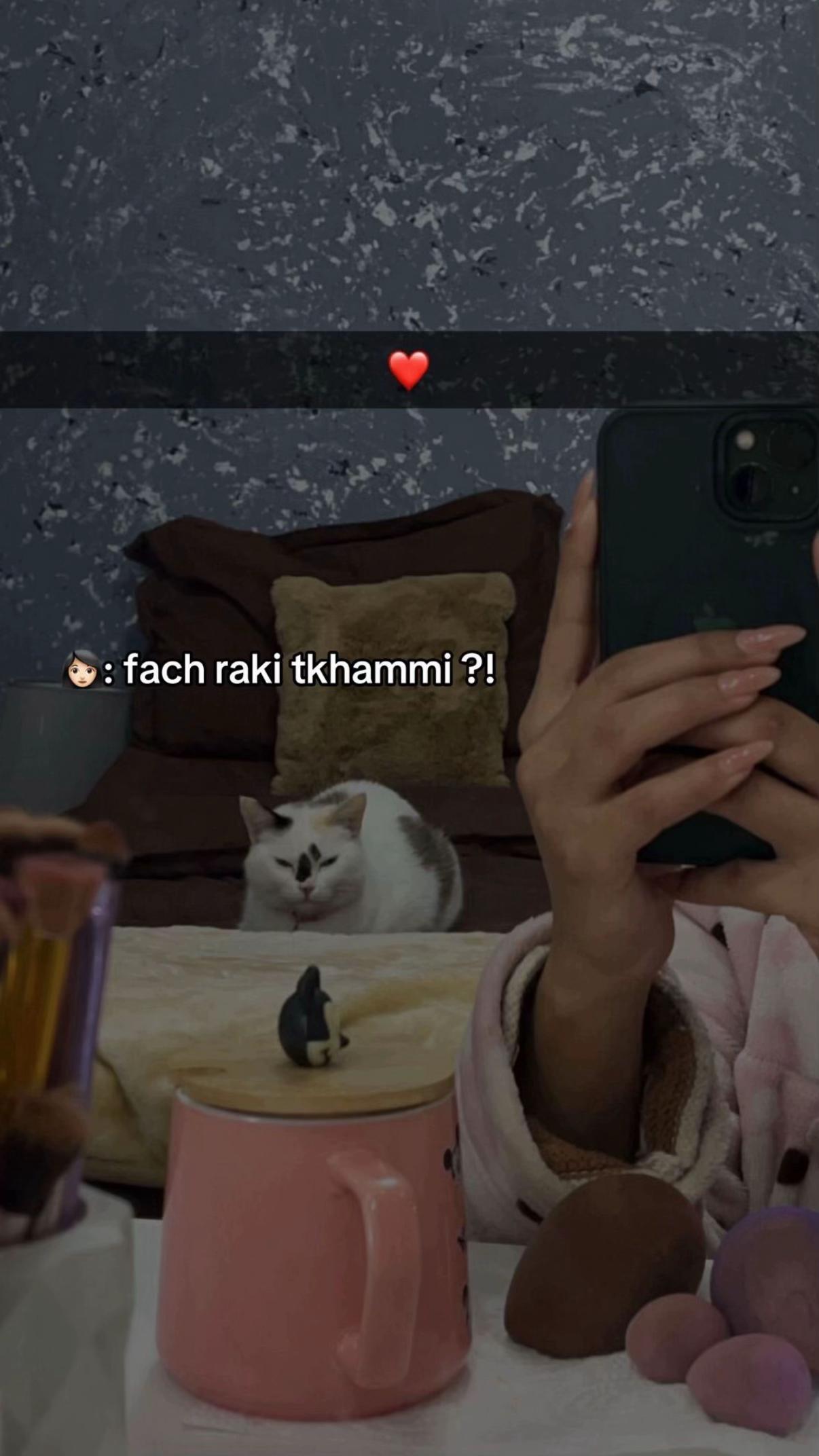 @๐จ๐๐๐๐๐ ๐