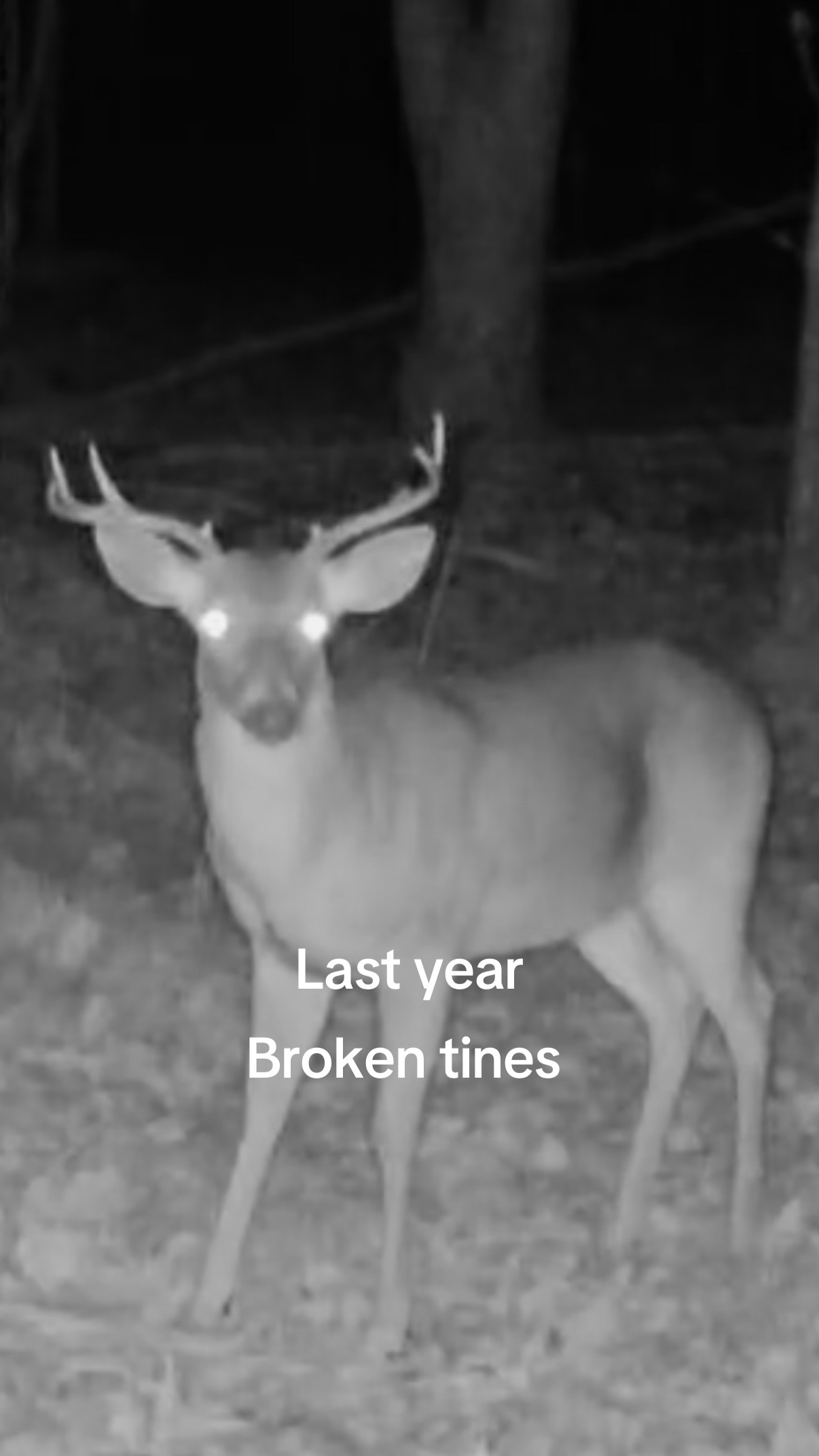 @Toi Batton_GIGI_WTBuckOutdoors