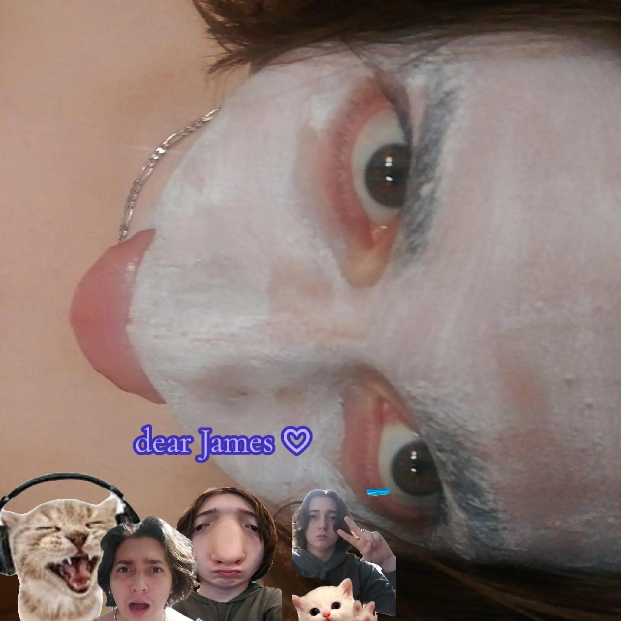 @(-.-)Zzz・・・・
