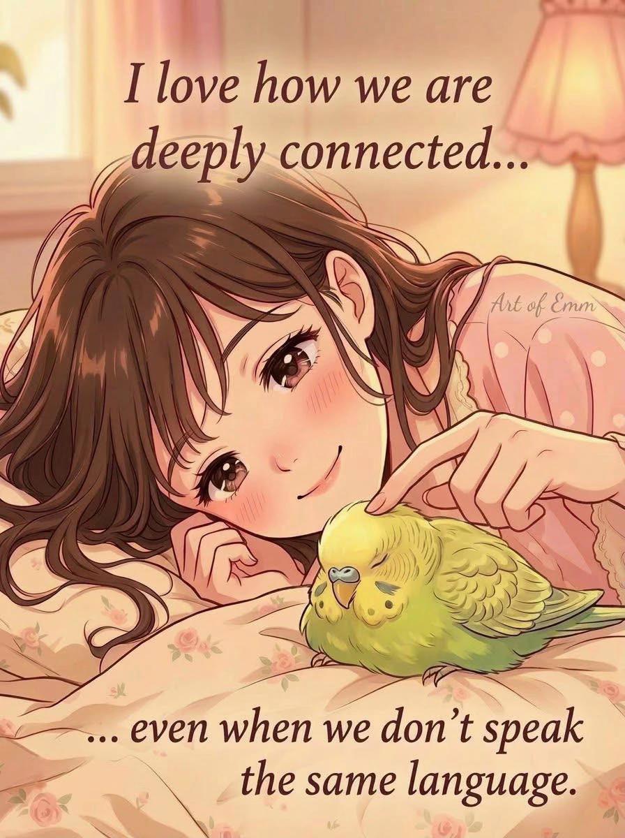 @Dlly 🥰😍