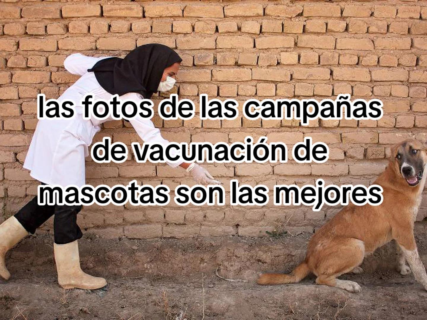 @Nahuel Robles
