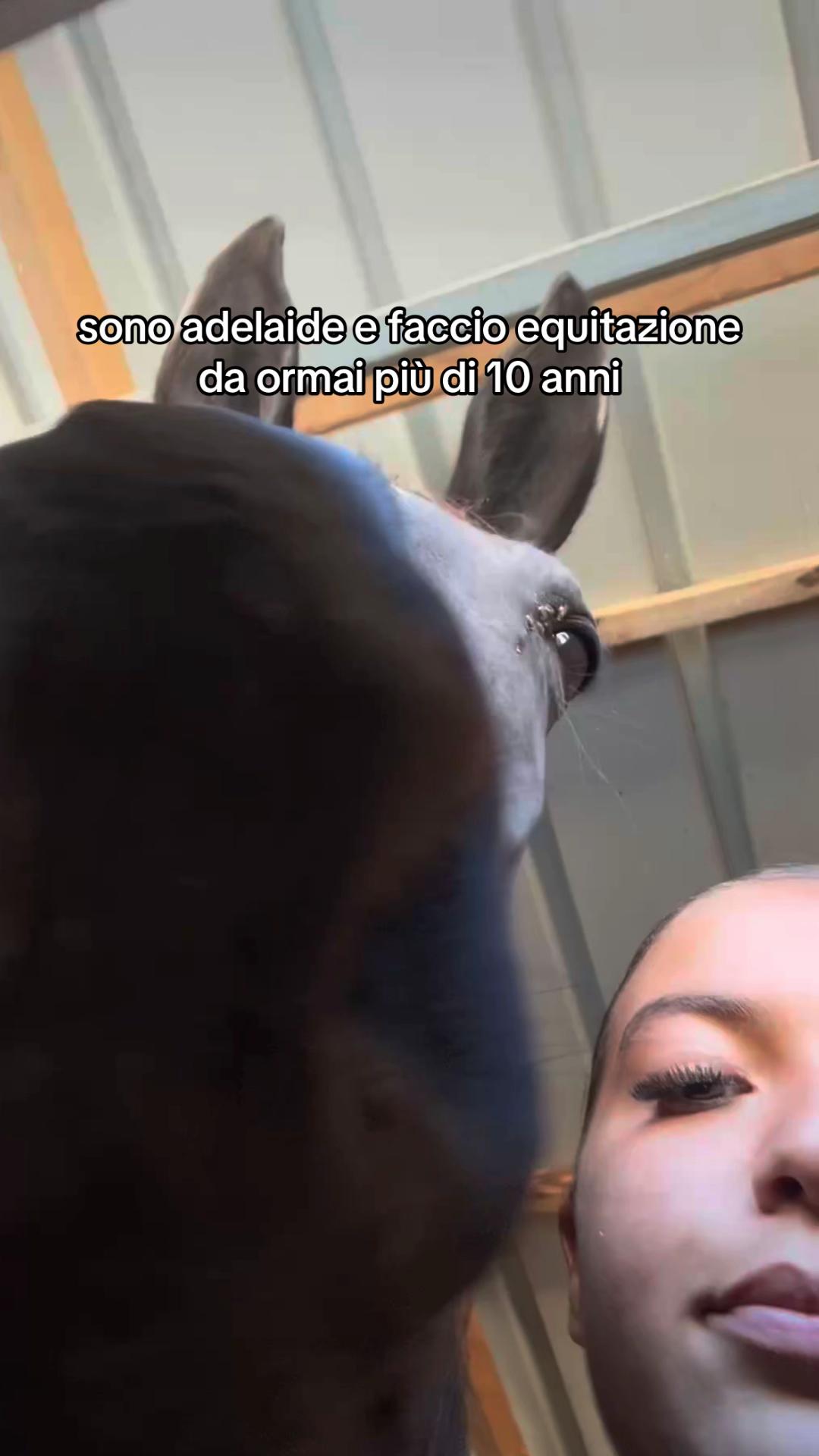 @_spamm___