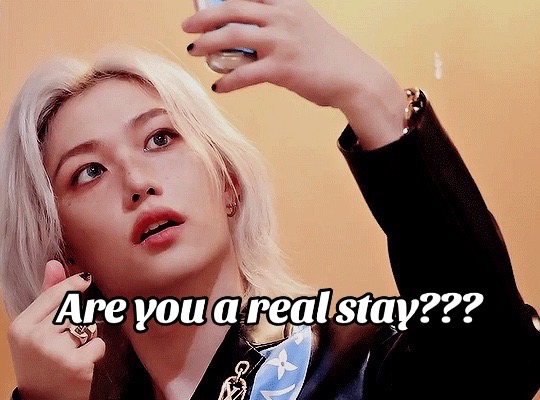 @StrayKids Edits