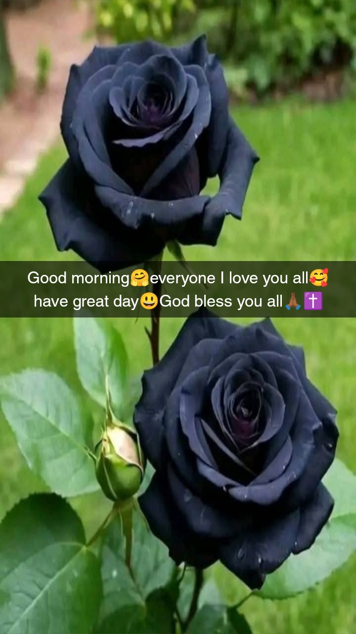 @Talisa.Blackburn🤎Queen girl🤎