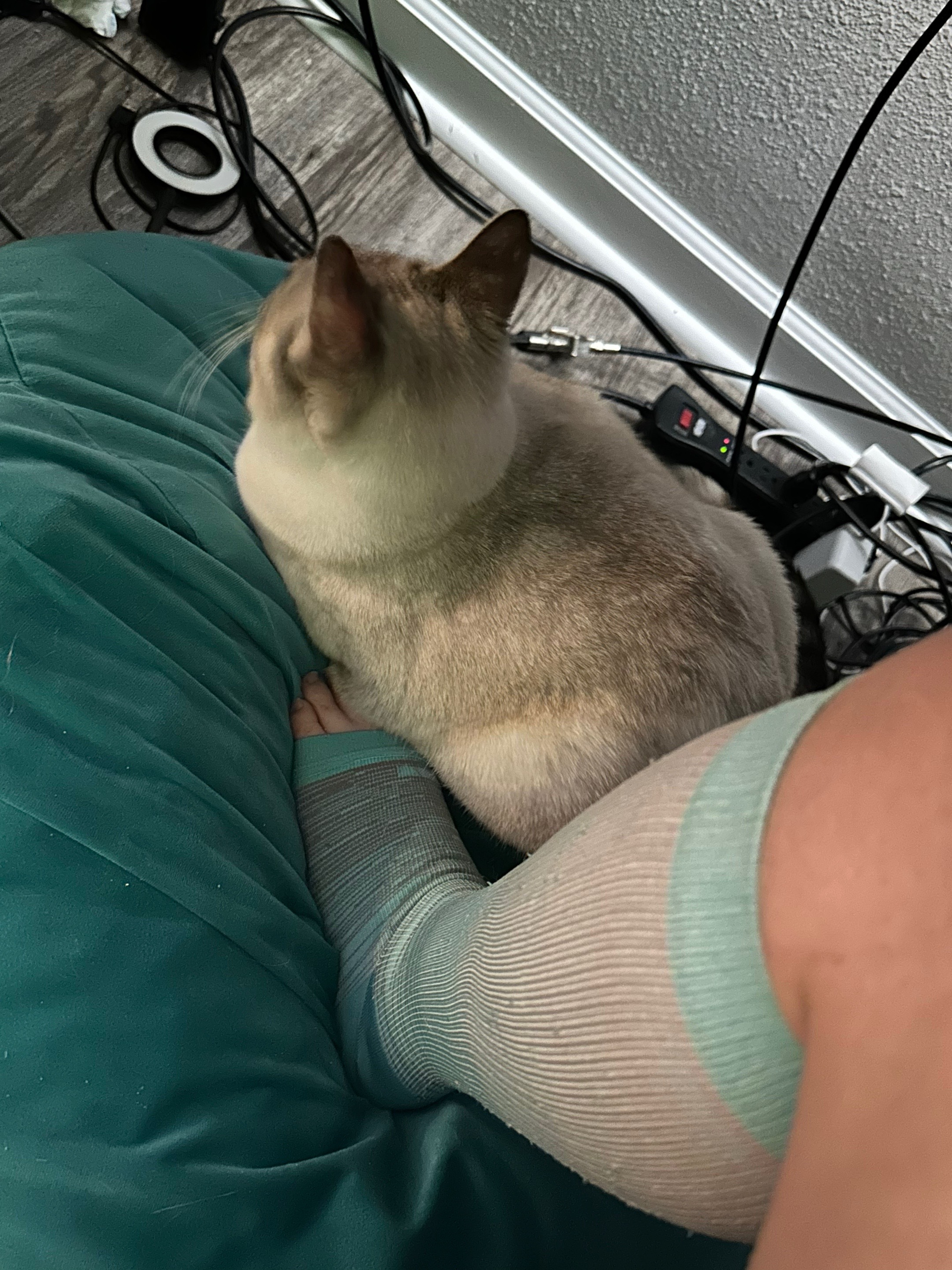 @Plushie