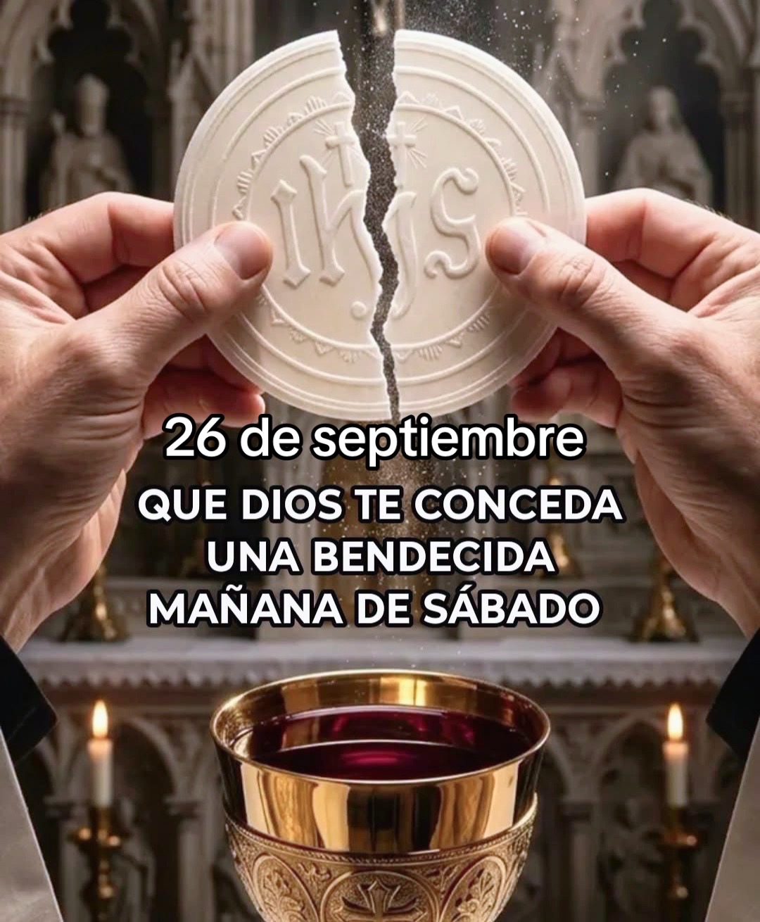 @8luisplaza8