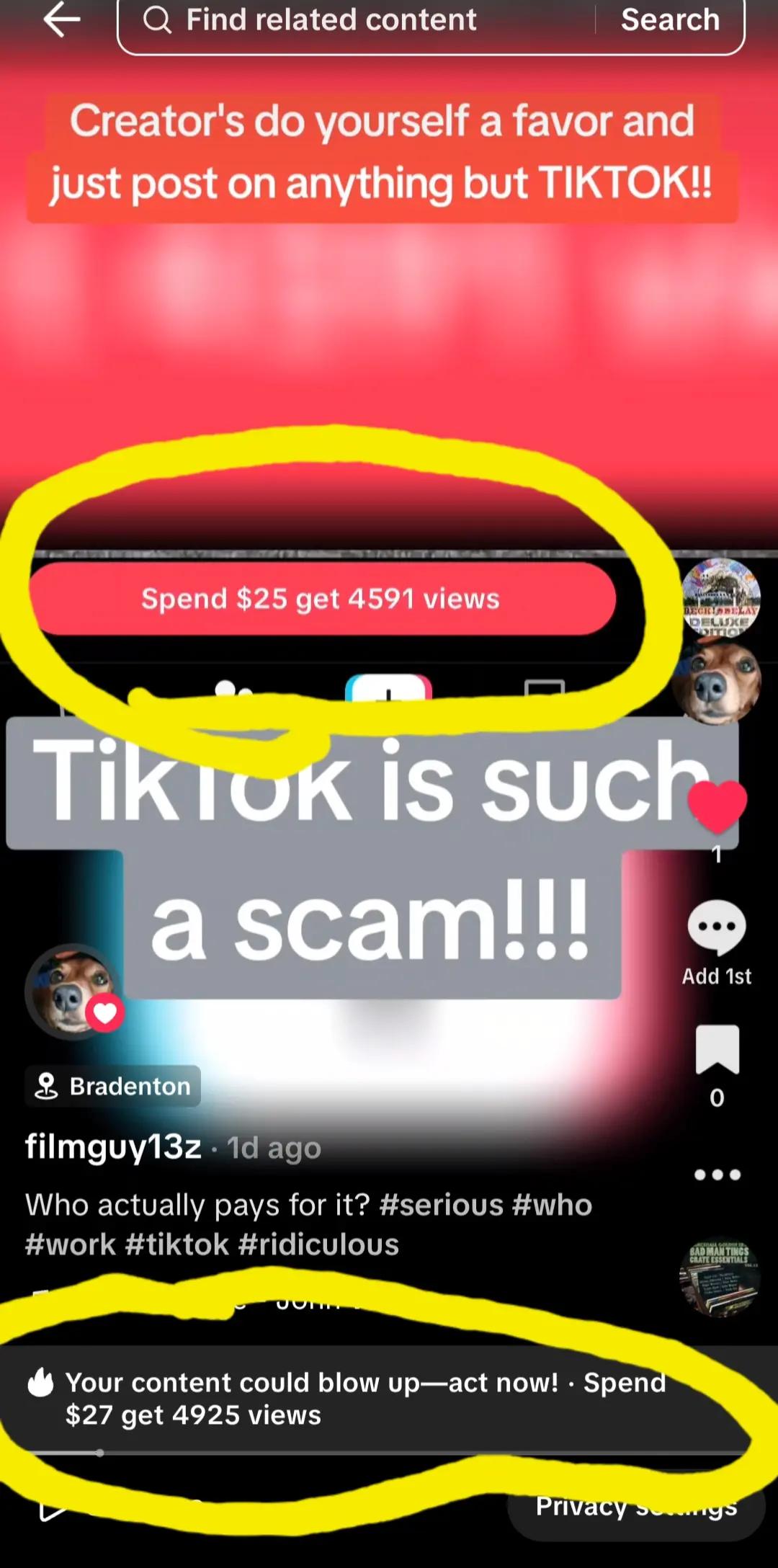 @filmguy13z