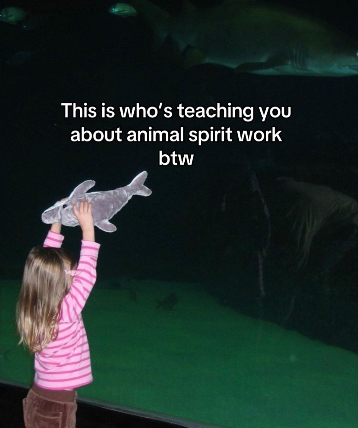 @𝔞𝔪𝔞𝔯𝔞
