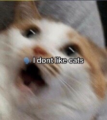 @โจ๐ด๐ฟ๐ฟ ๐ด๐ถ๐ถโจ