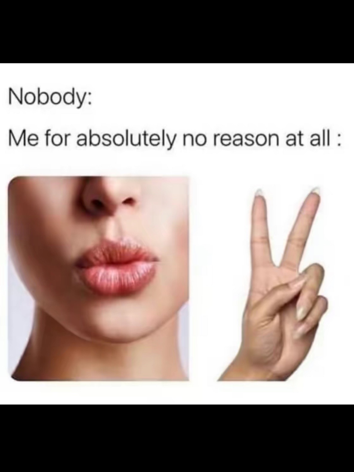 @ornella