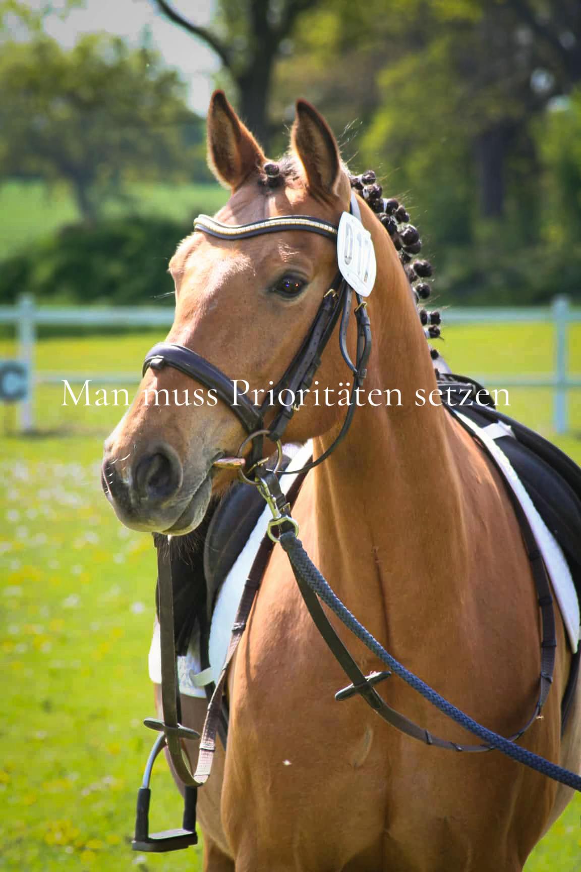 @Emma🐴🎀