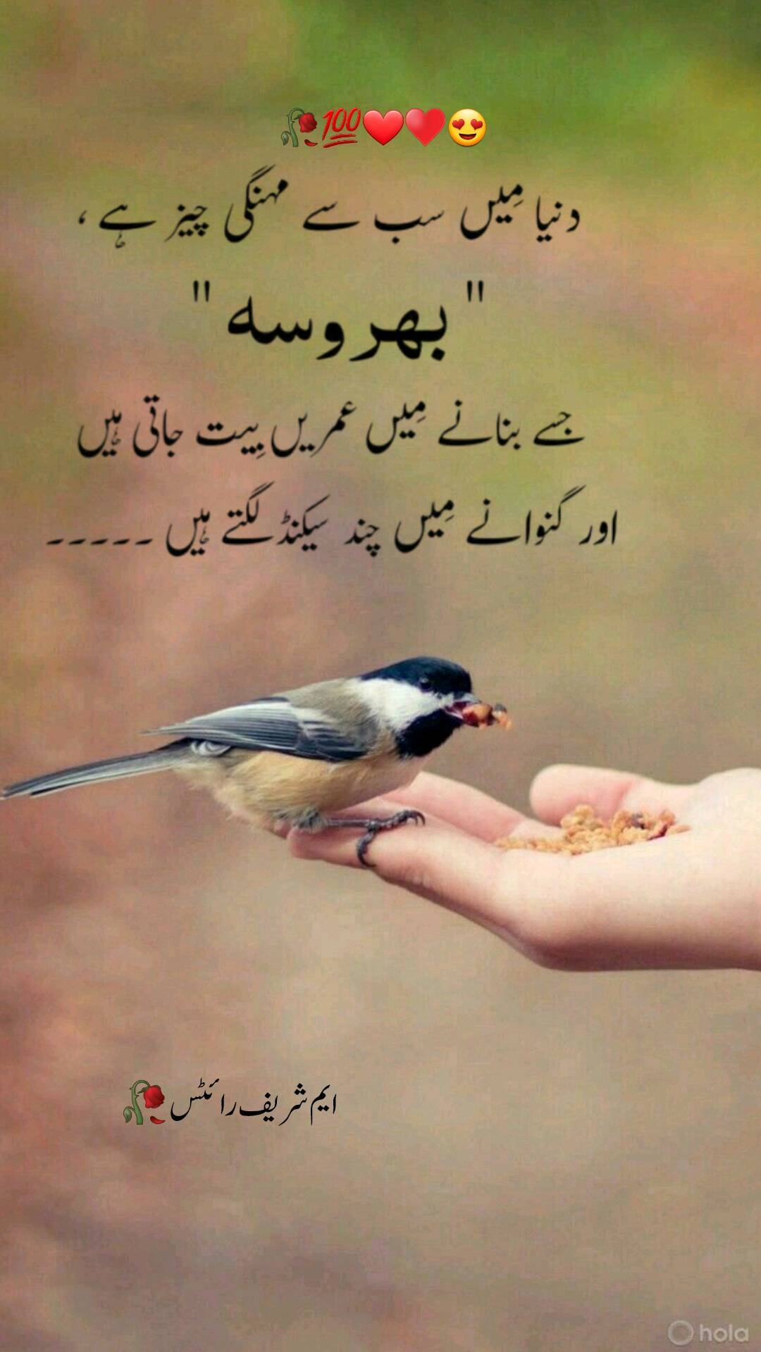 @Muhammad Sharif