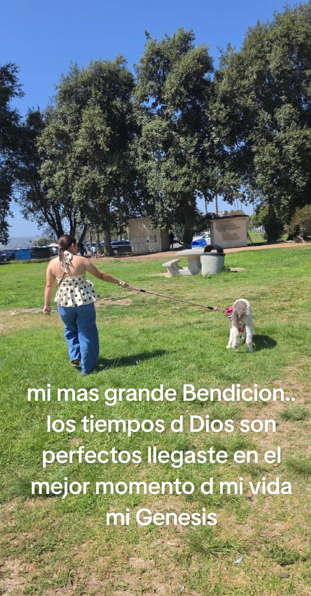 @Vivirys Torres