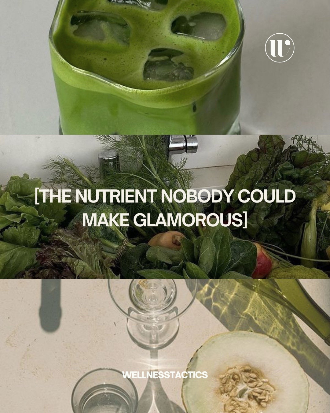 @WellnessTactics