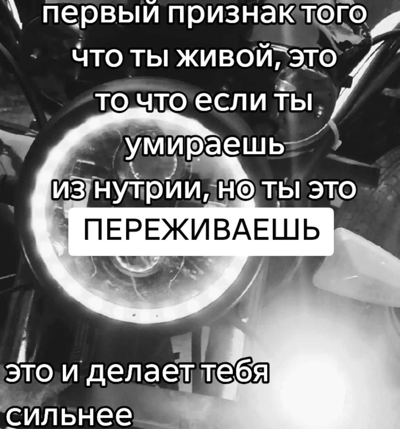 @zapaska