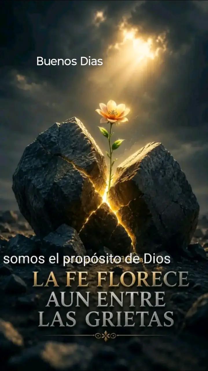 @Mary.S