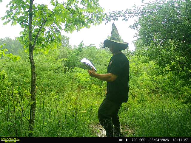 @WIZARD OF THE WOODS