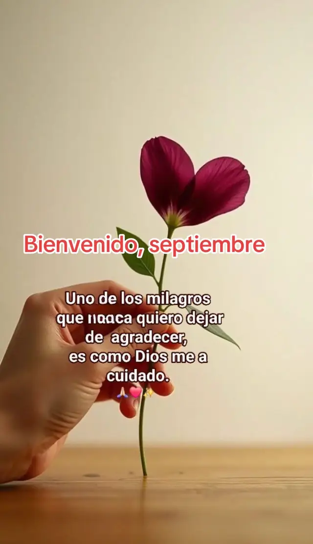 @🦅🦅Loida Arano 🇲🇽🇭🇳
