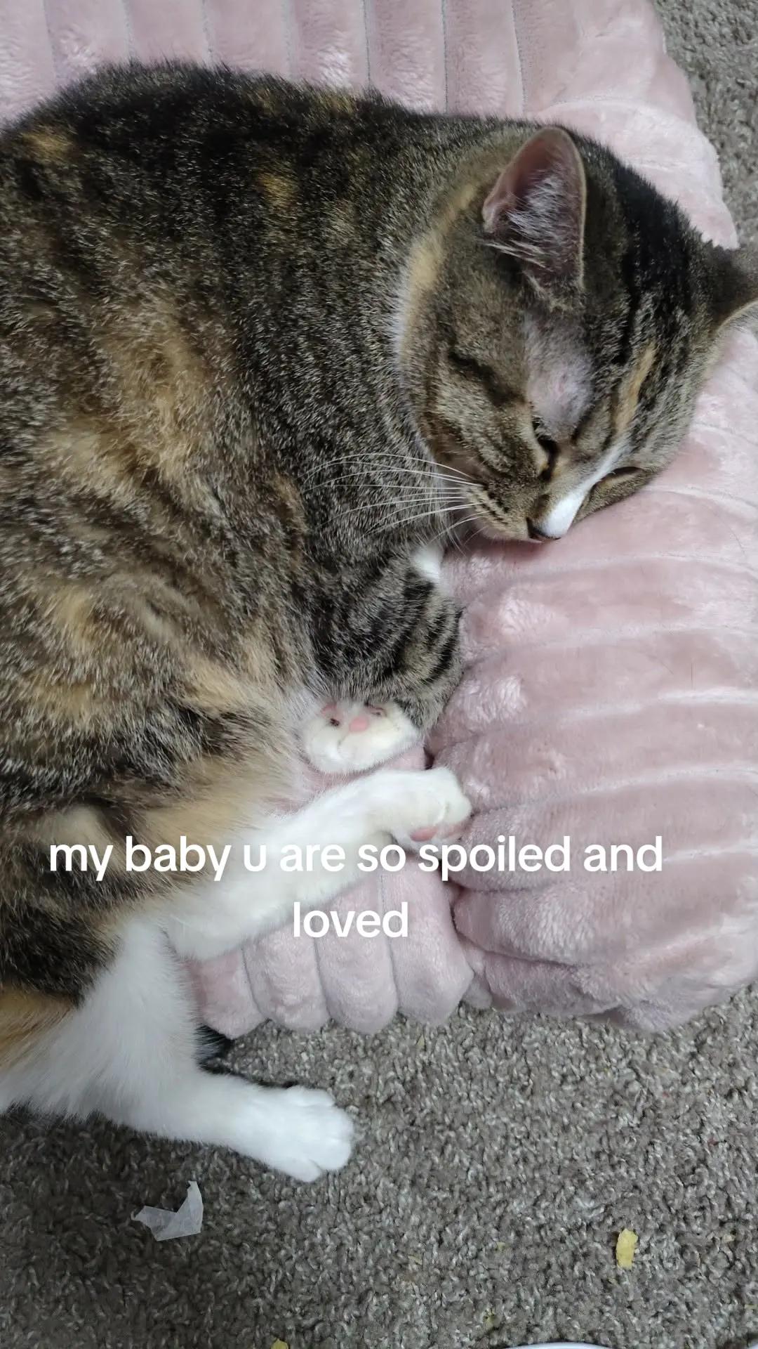 @Kelly Martin