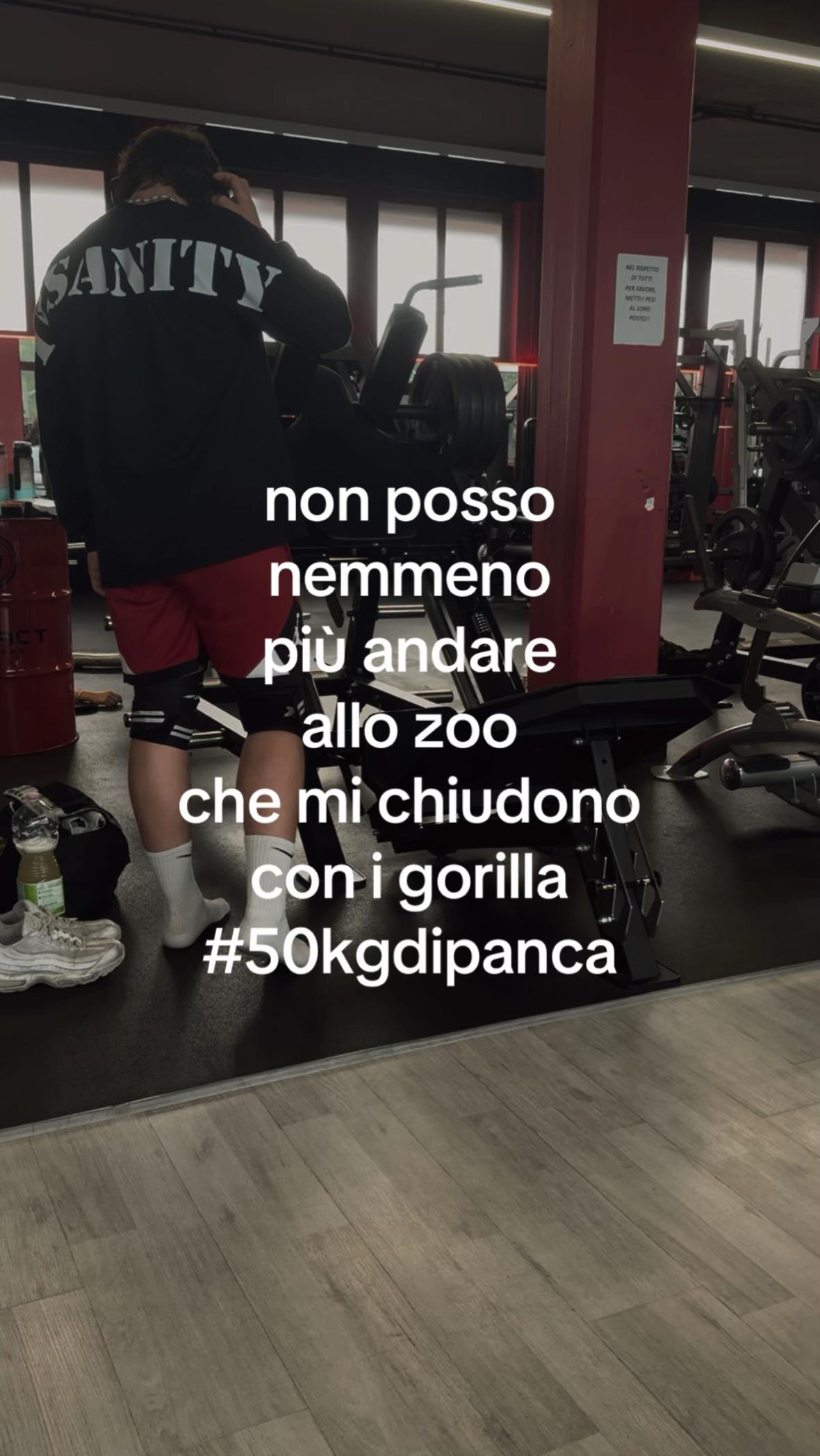 @cesiliftss