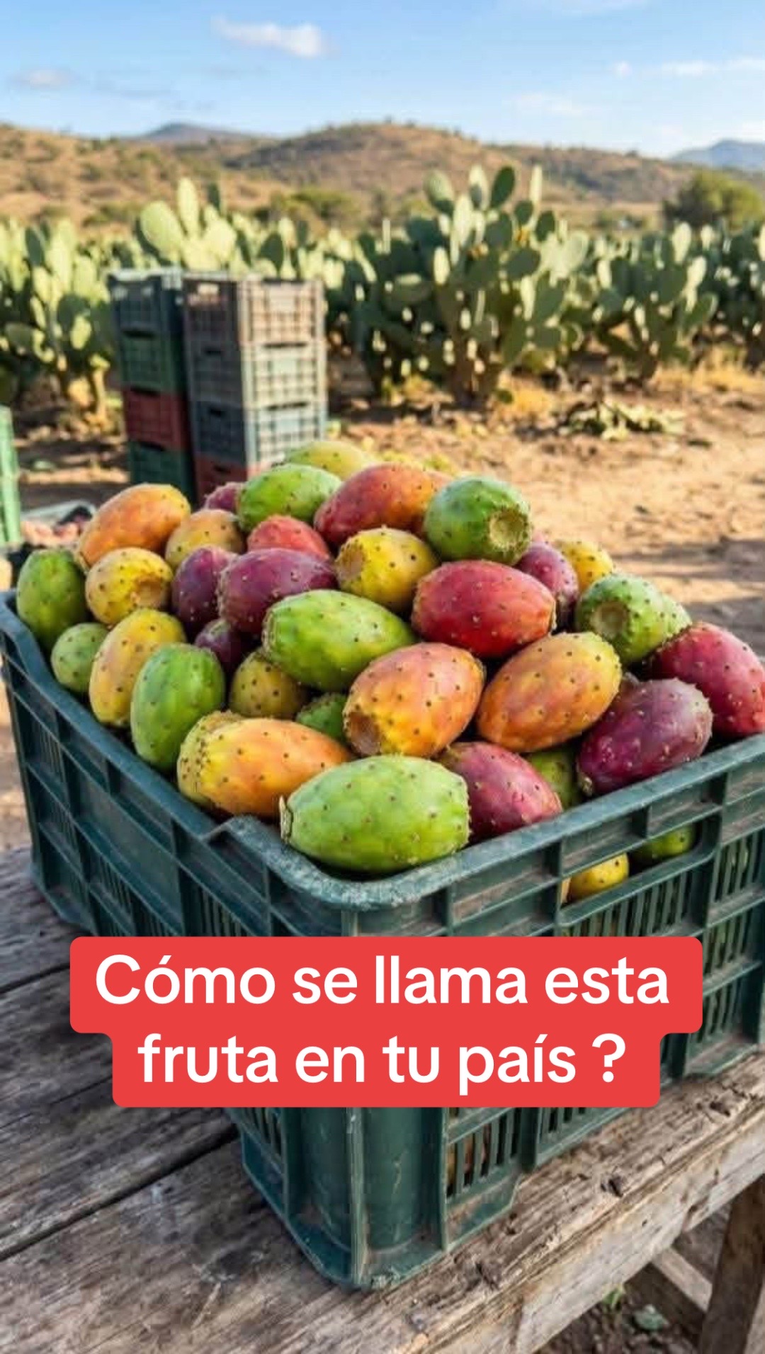 @frutasymas
