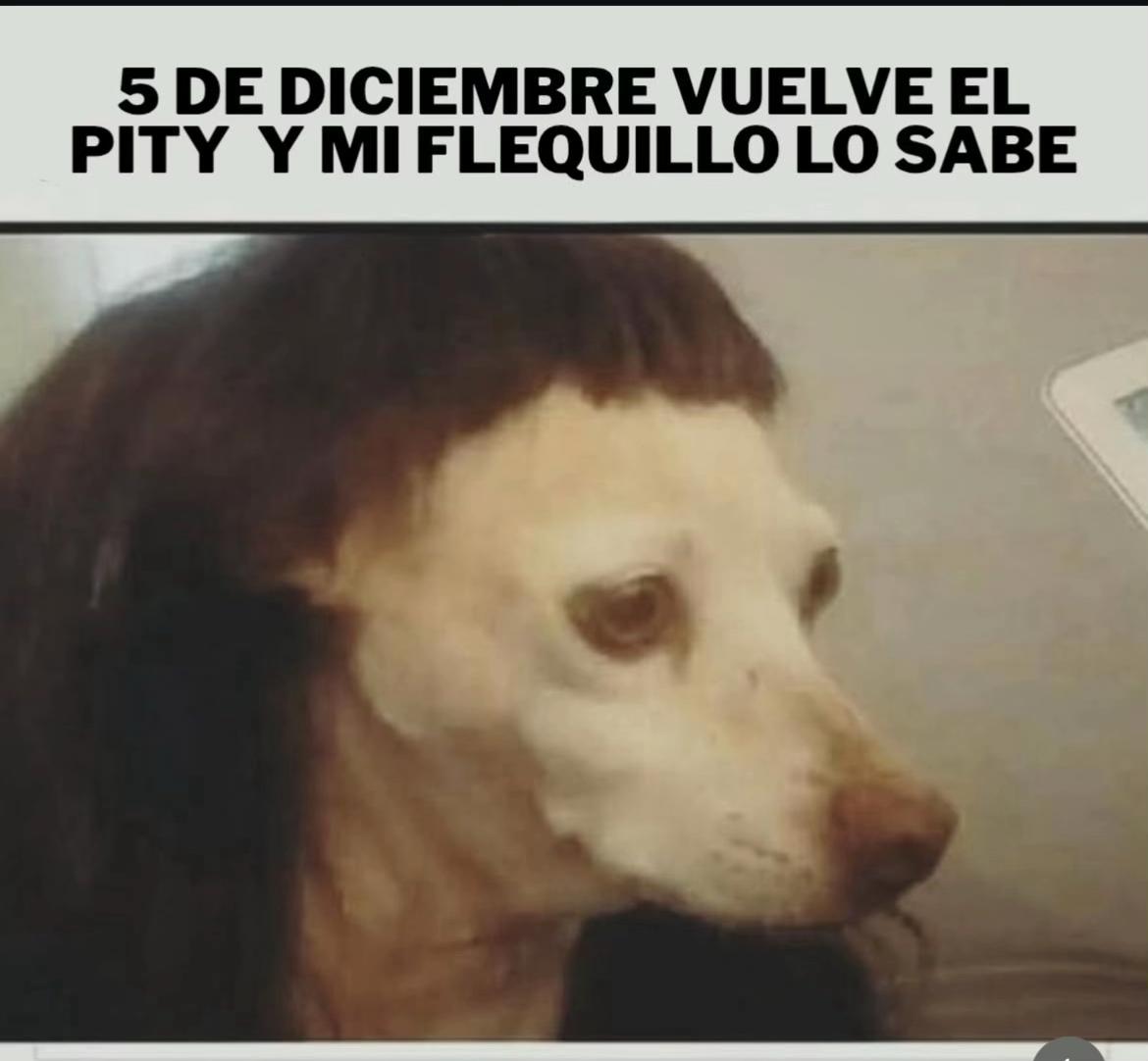 @anto
