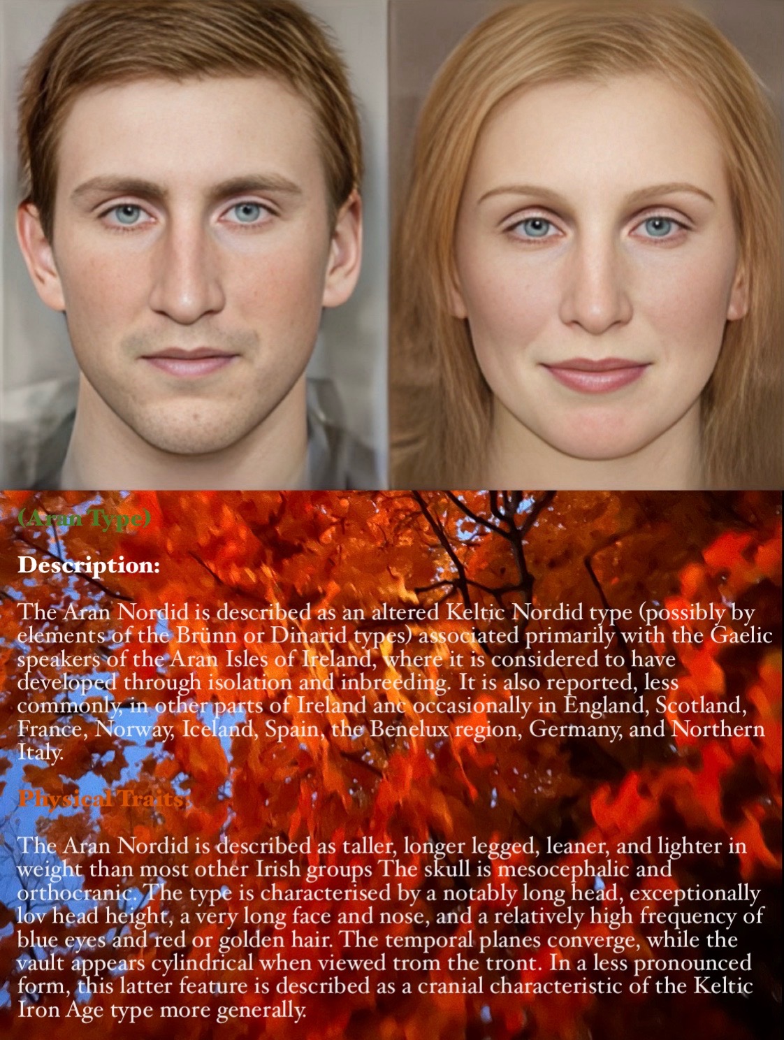 @humanphenotypes.net