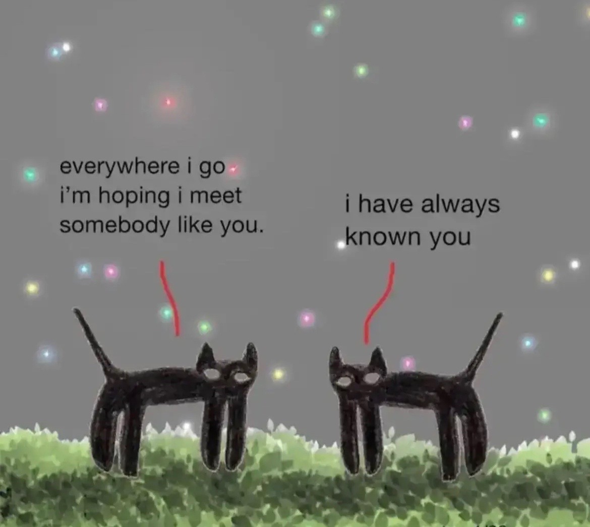 @˖&deg;🦇ִ ࣪𖤐