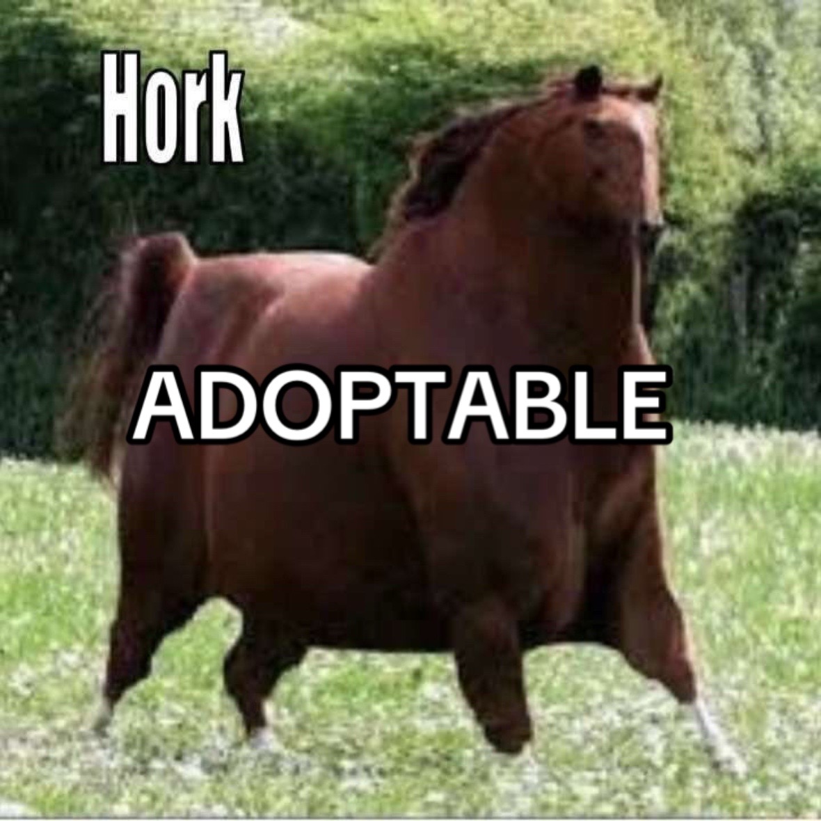 @𐌅𐌉𐌔ꃅ🏔️