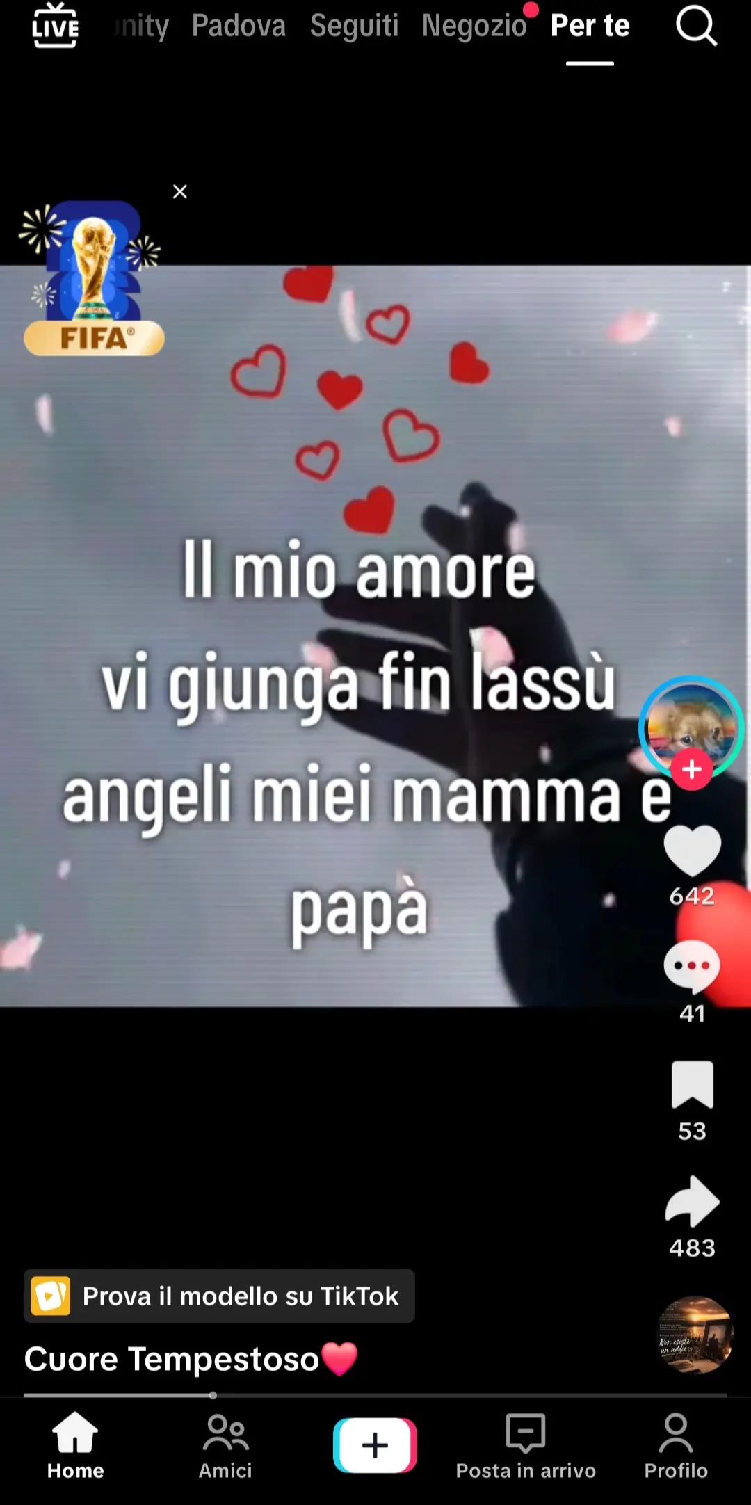 @anna andretta