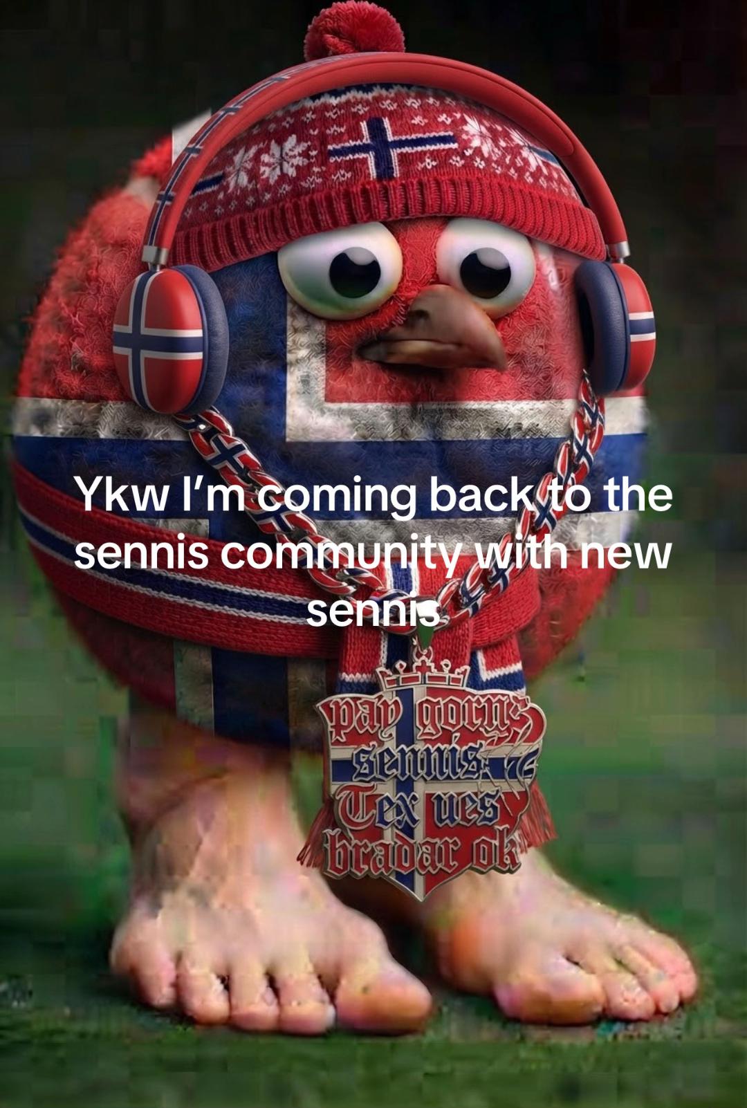 @Hacker sennis (hacker aura)