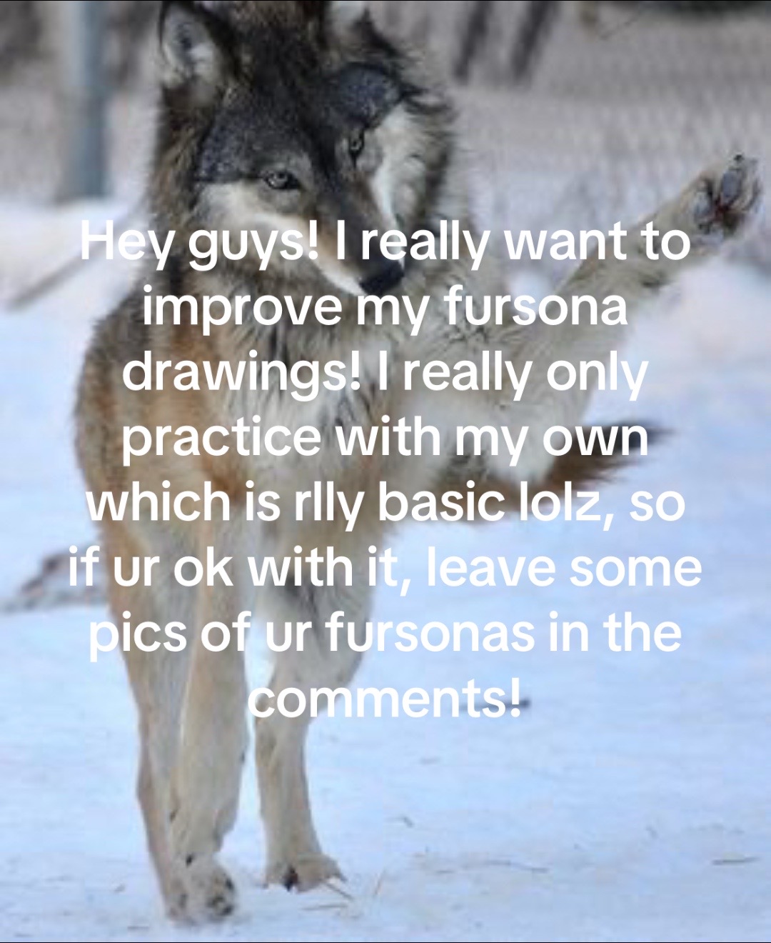 @WolfRat