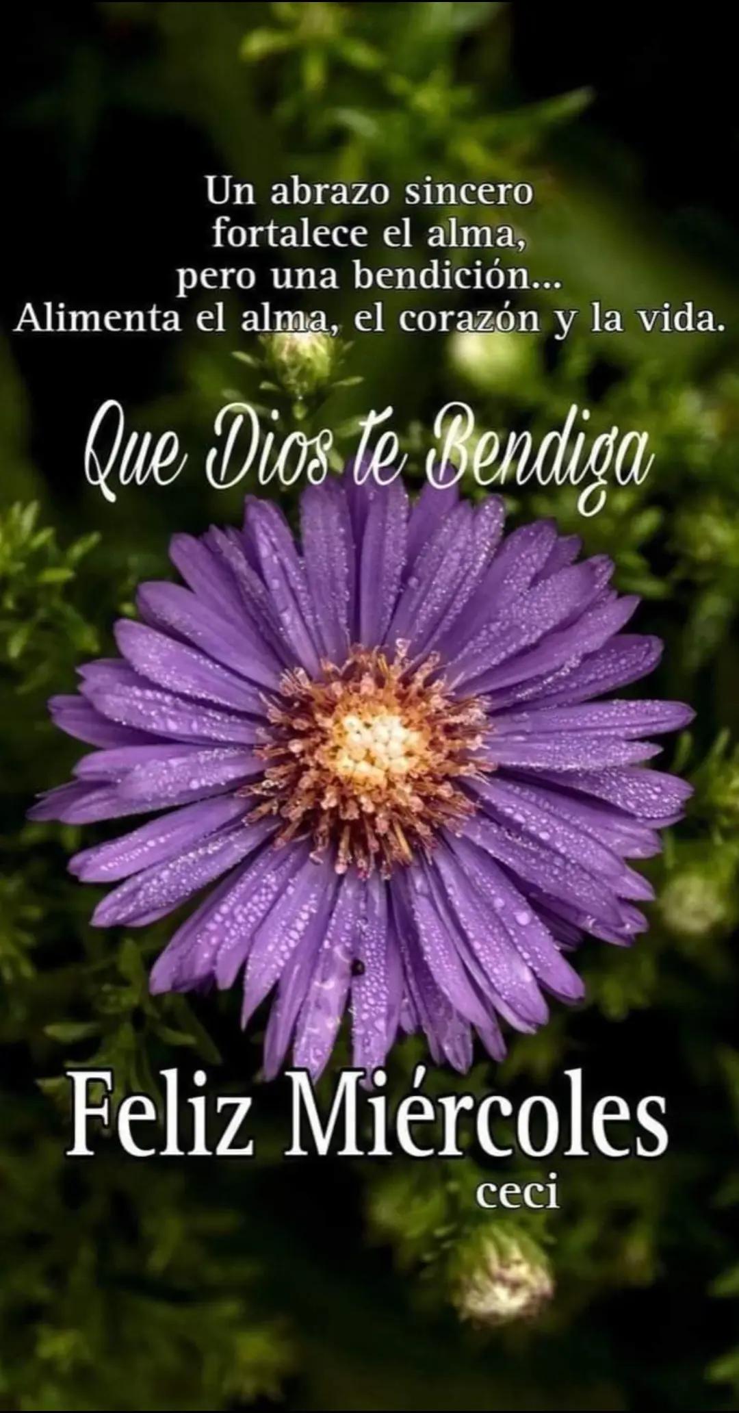 @Bella Durmiente hasta la muert