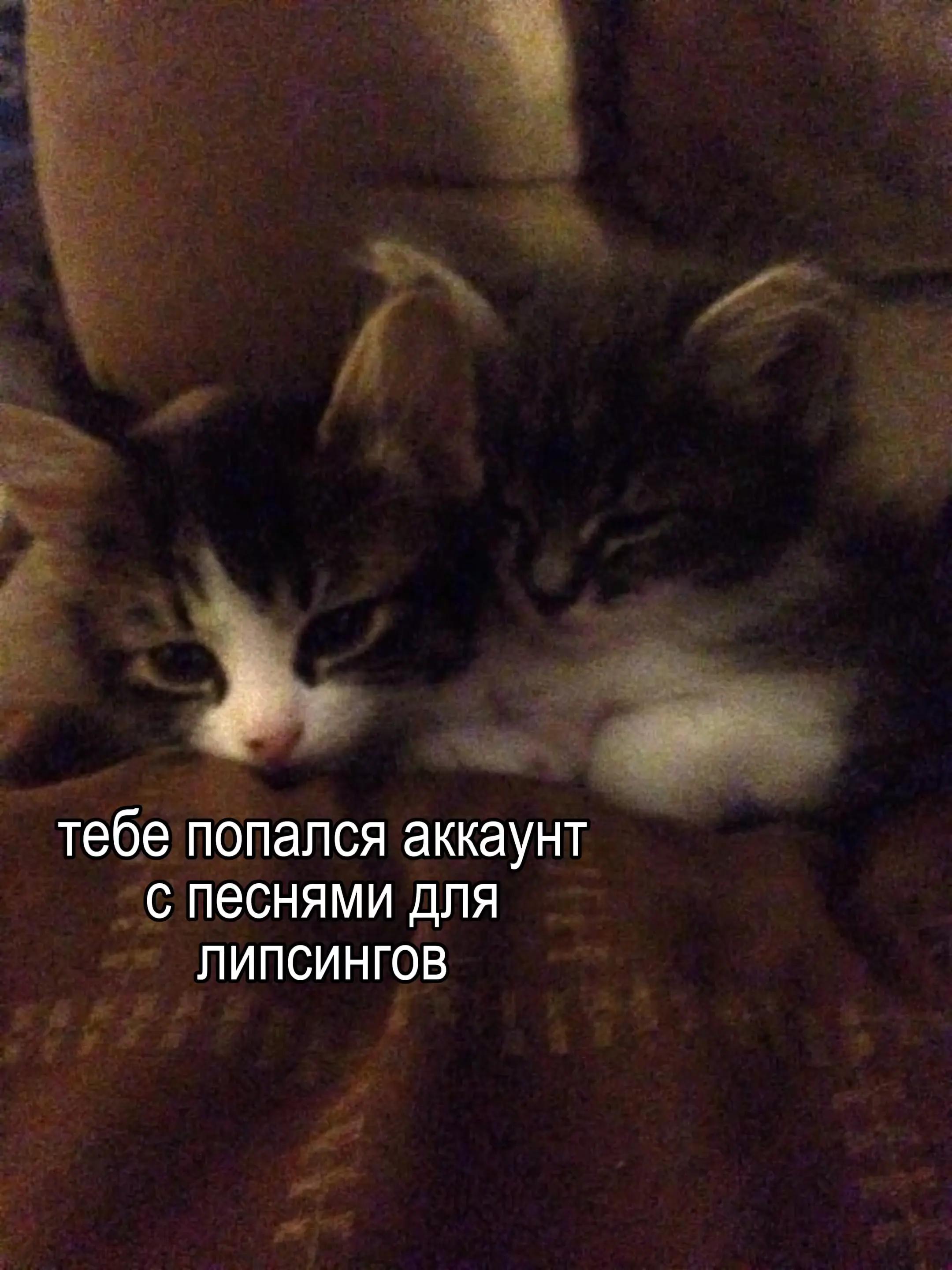 @песни для липсингов