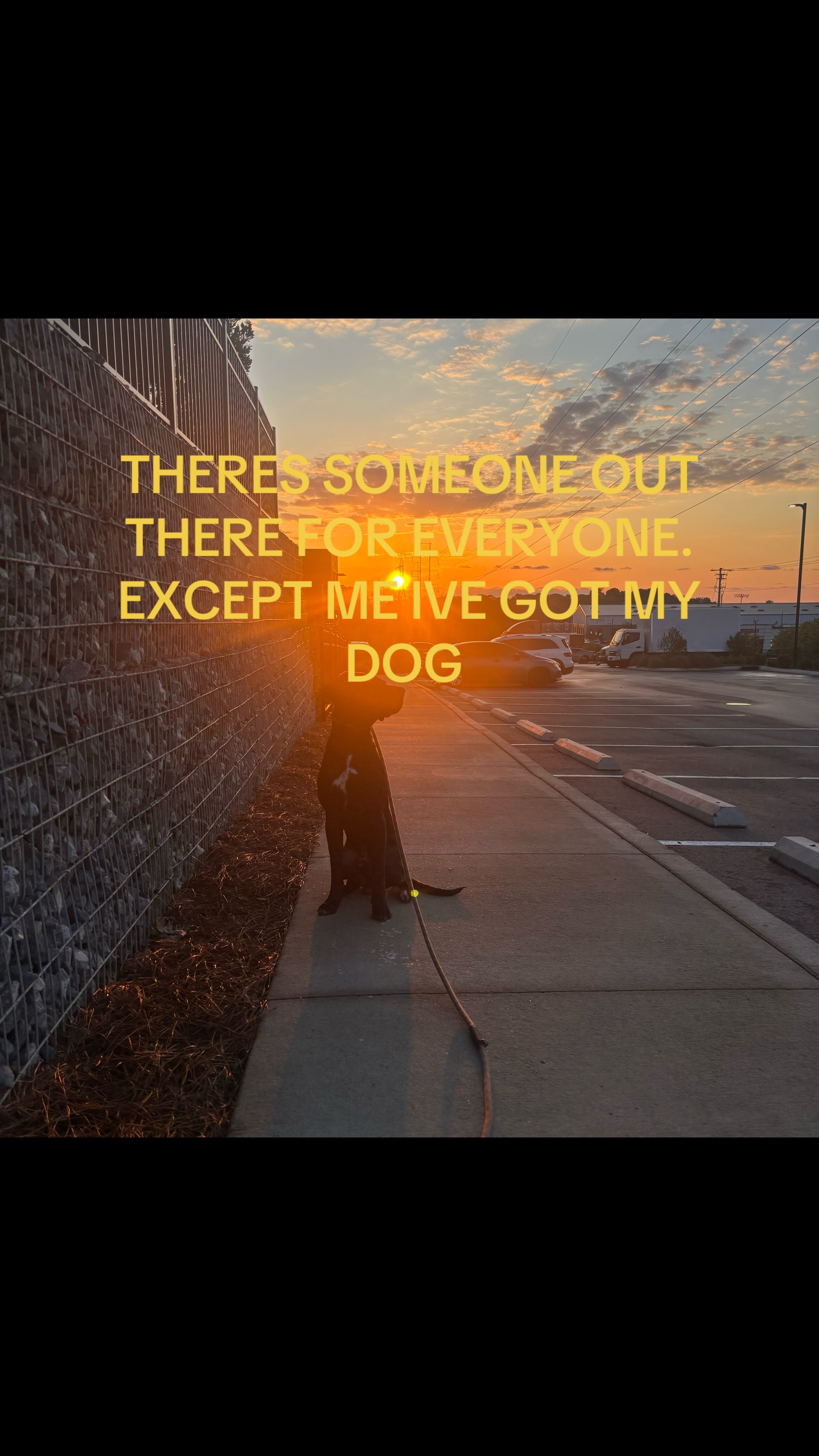 @bhammy116