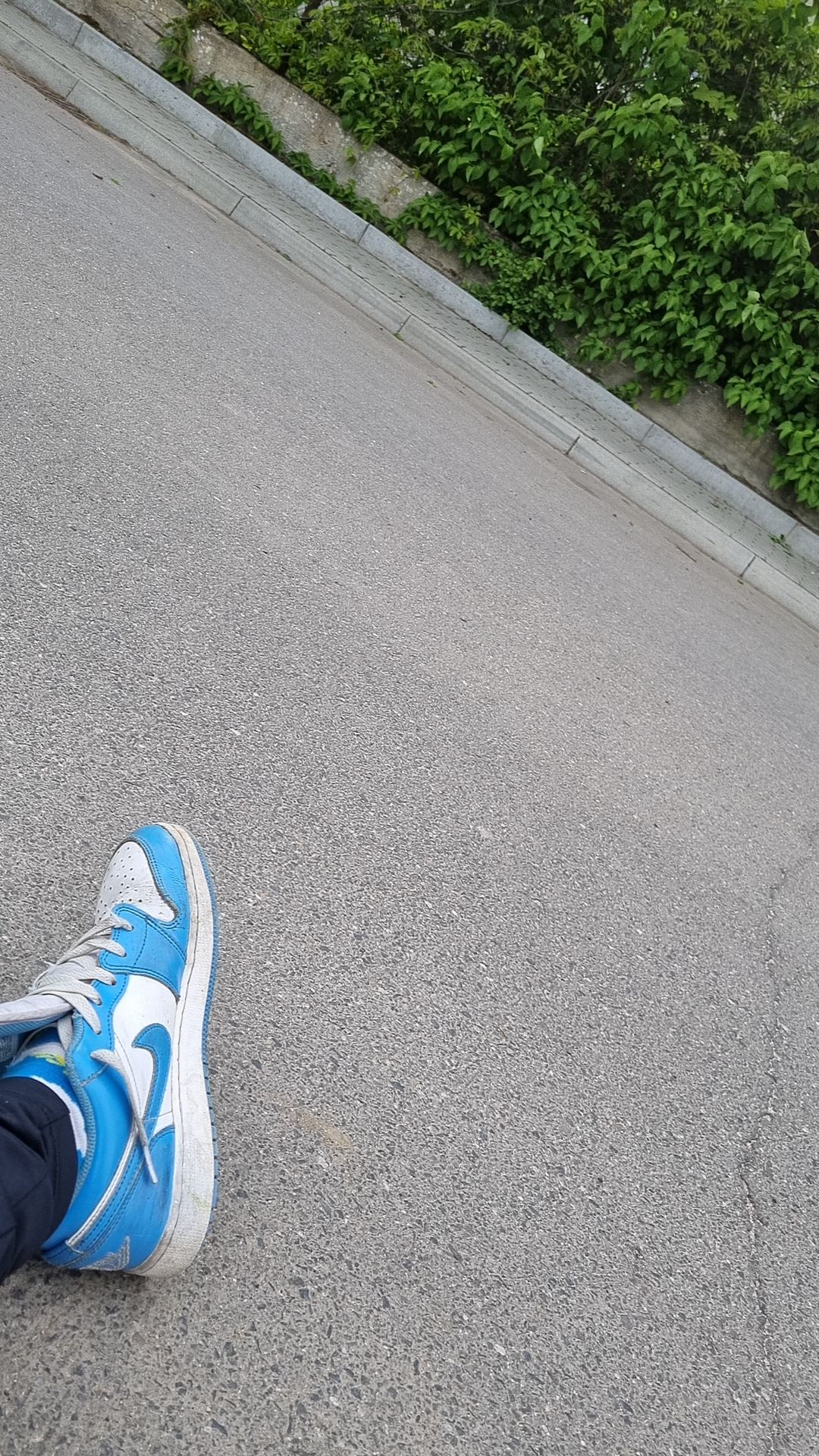 @skejterzy