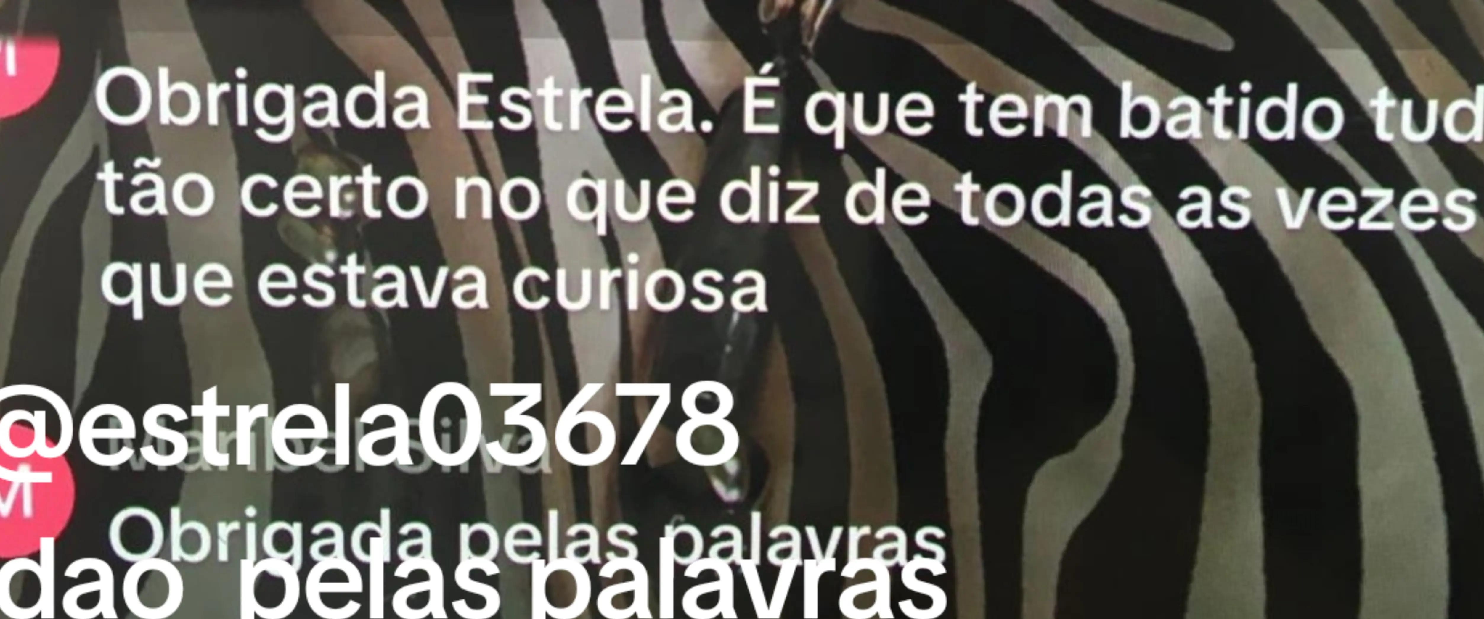 @@estrela 03678..