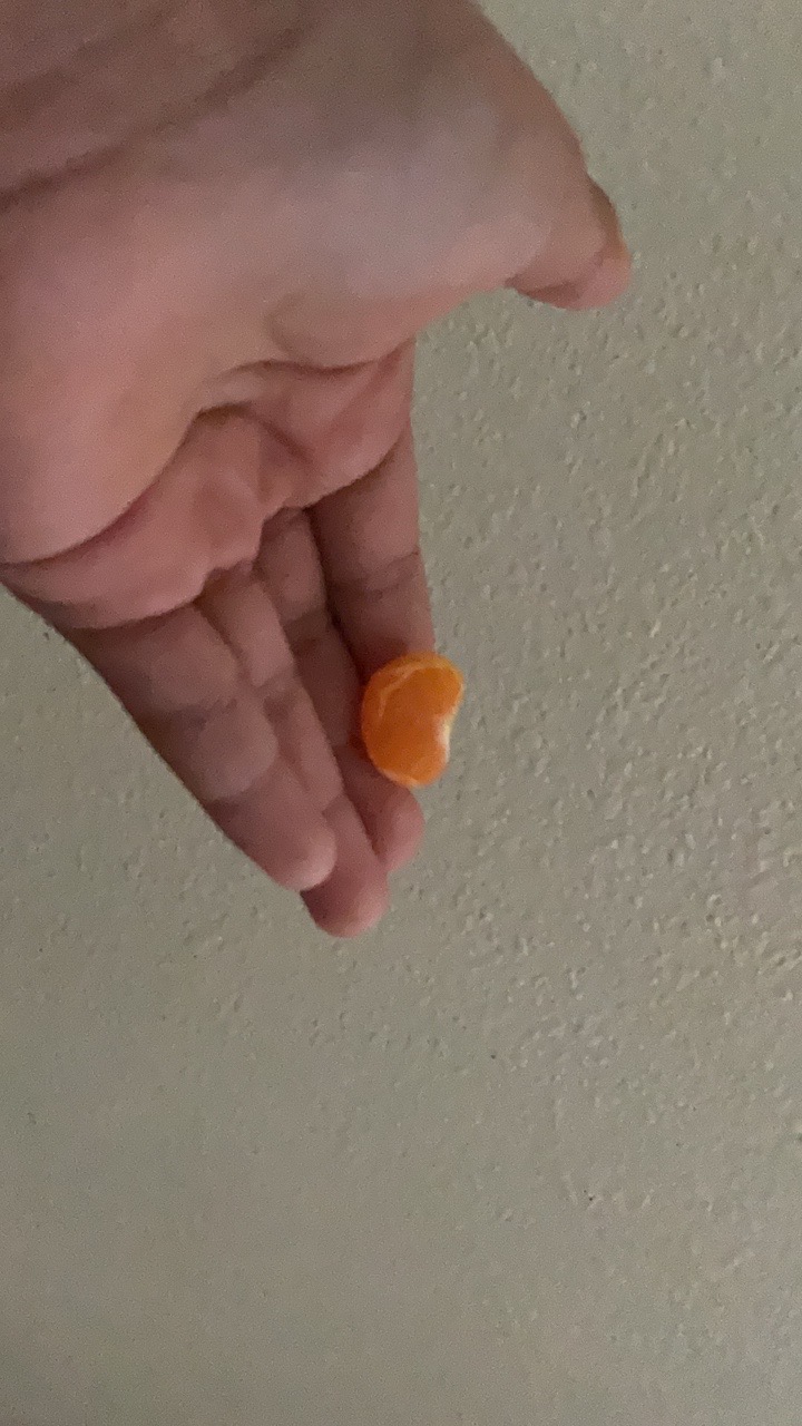 @Sophia Contreras