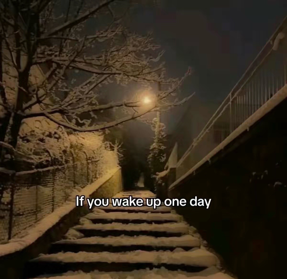 @dreamwalker811