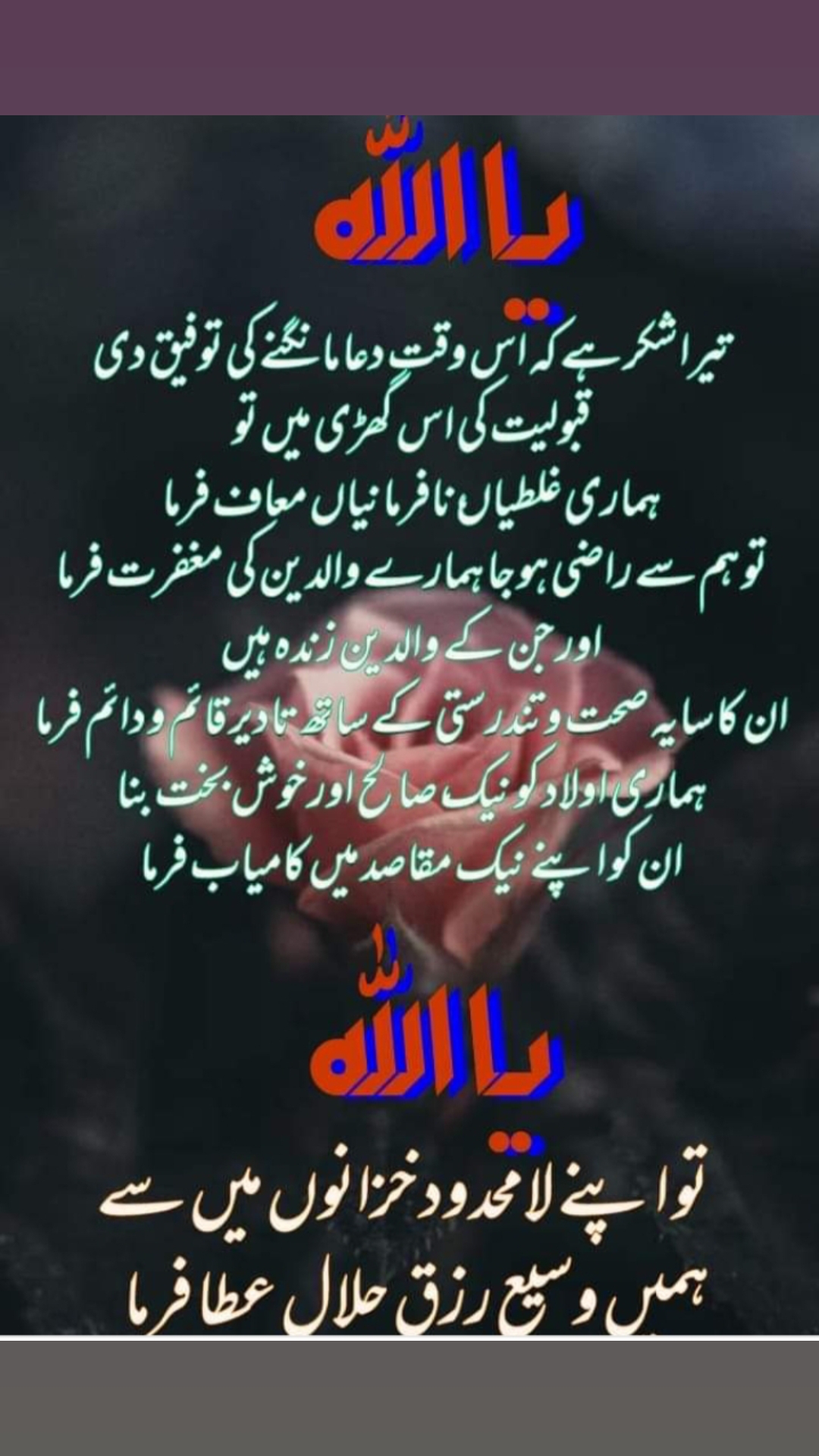 @maryam jamila