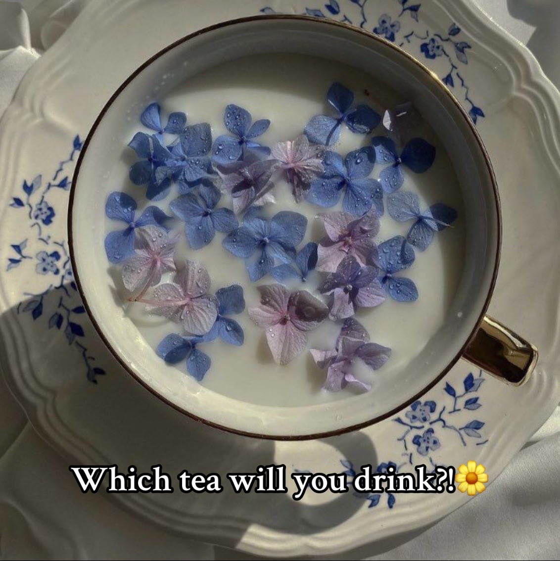 @fairy princess